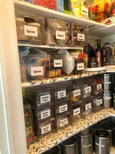 Organized pantry shelves with clear bins containing labeled spices and food items.