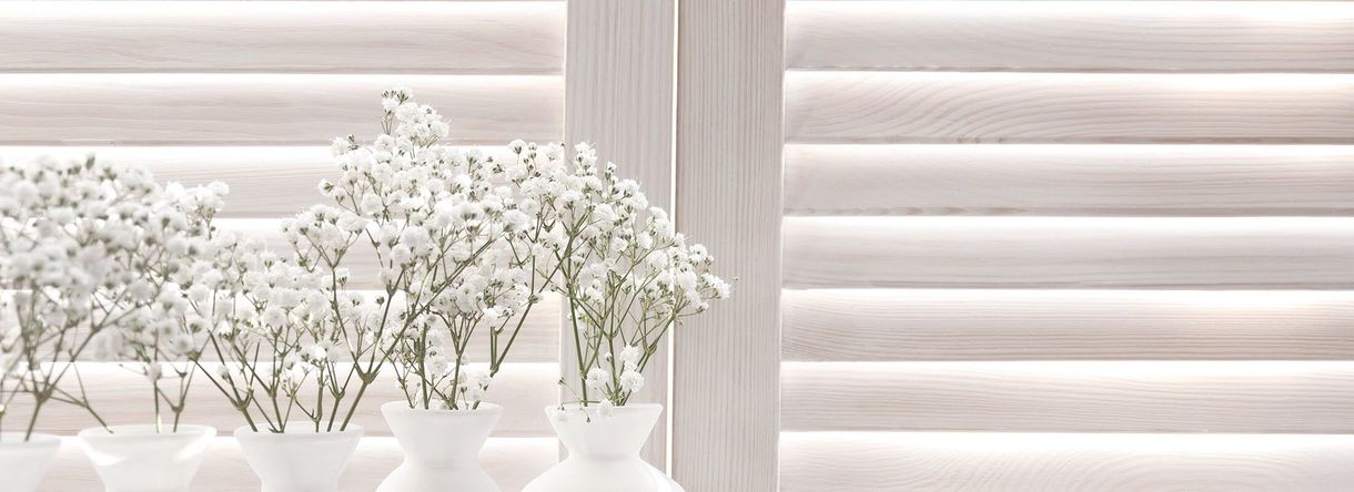 A row of vases filled with white flowers are sitting on a window sill.