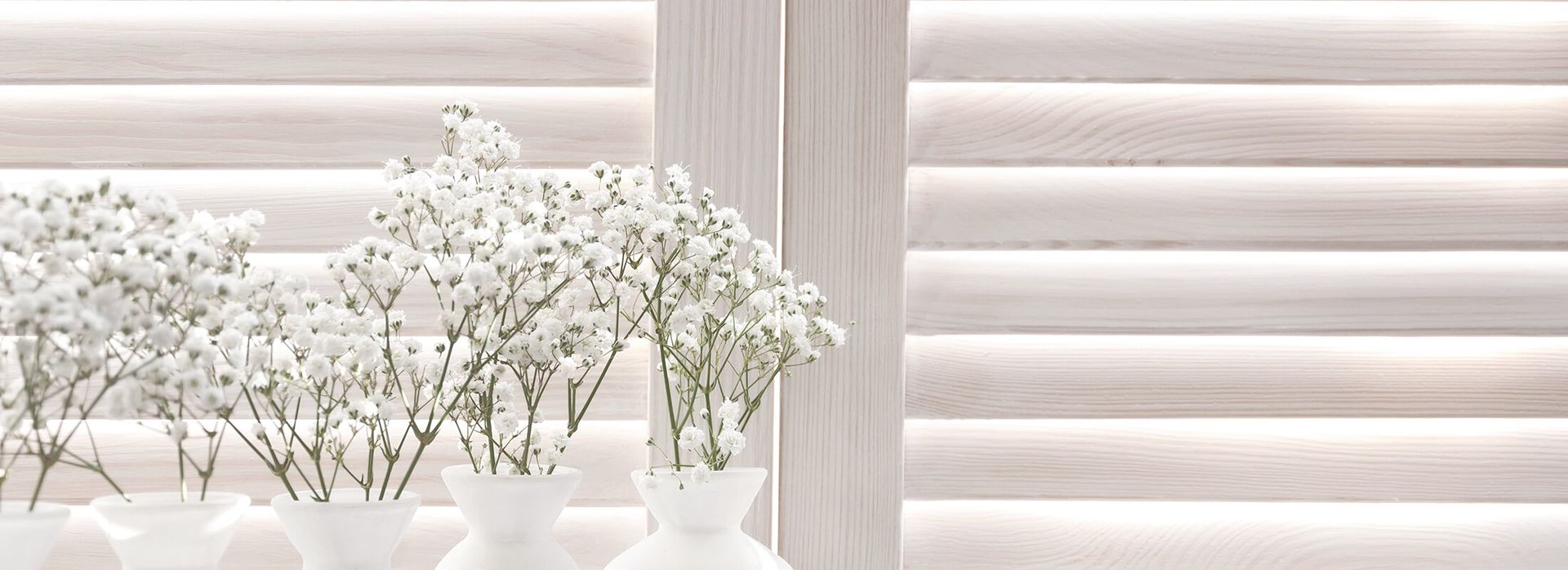 A row of vases filled with white flowers are sitting on a window sill.
