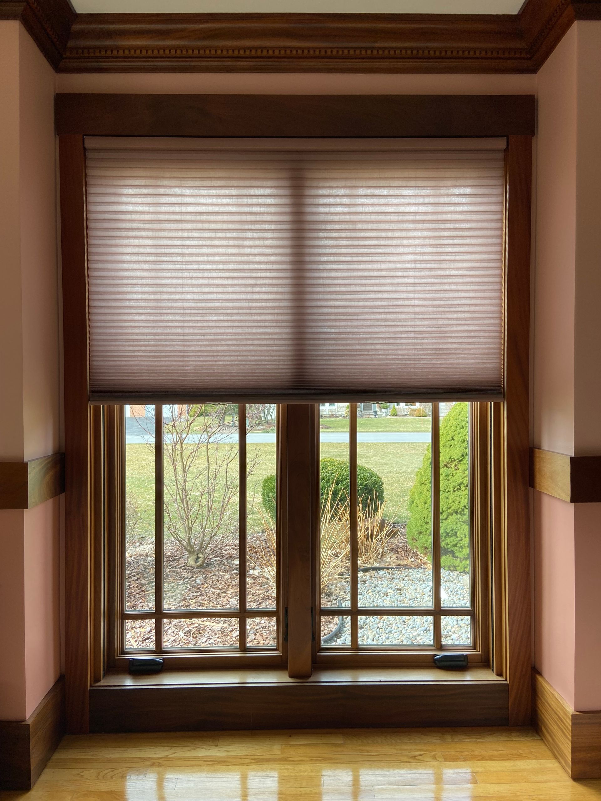 A window with a blind on it and a view of a garden.