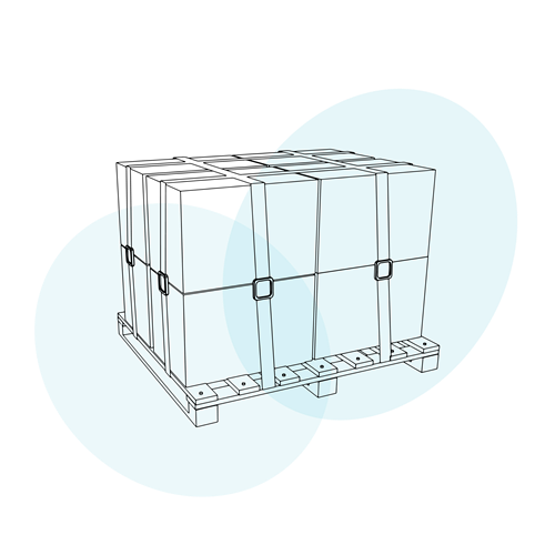 עמילות מכס ושירותים רגולטוריים