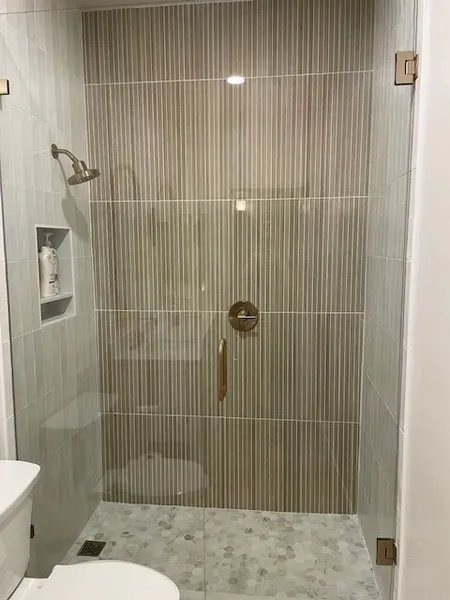A bathroom with a walk in shower and a toilet.