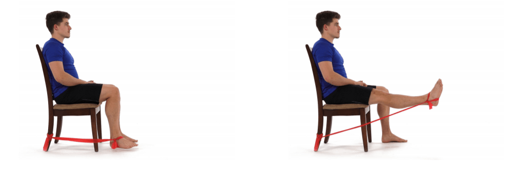 seated knee flexion