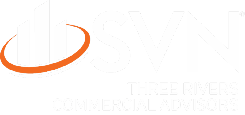 SVN Logo in the Footer