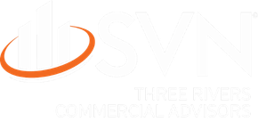 SVN Logo in the Footer