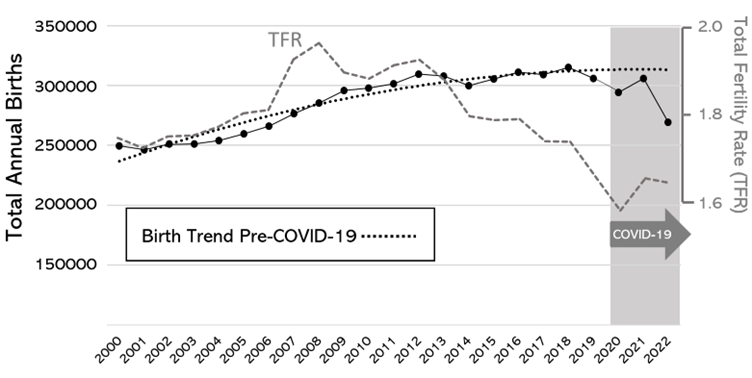 A graph showing the birth trend pre-covid-19