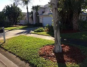 A house with a tree in front of it and a mailbox on the side of the road.