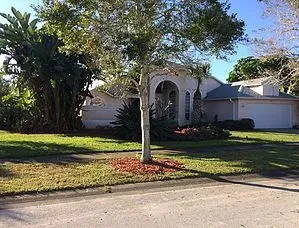 A house with a large lawn and a tree in front of it.