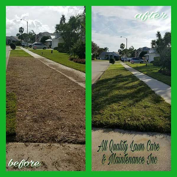 A before and after picture of a lawn being maintained by all quality lawn care and maintenance inc.