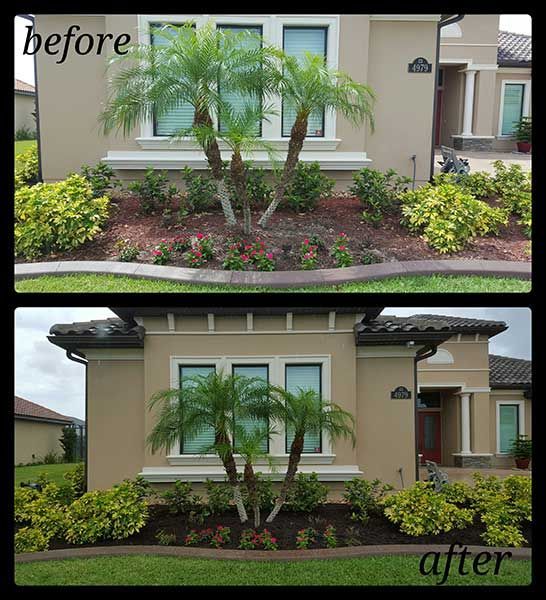 A before and after picture of a house with palm trees.