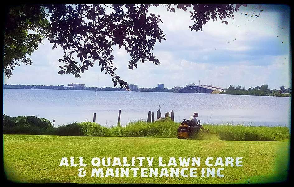 An ad for all quality lawn care and maintenance inc.