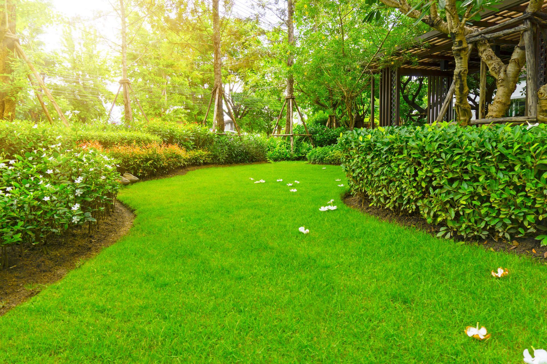A lush green lawn in a park with trees and bushes.