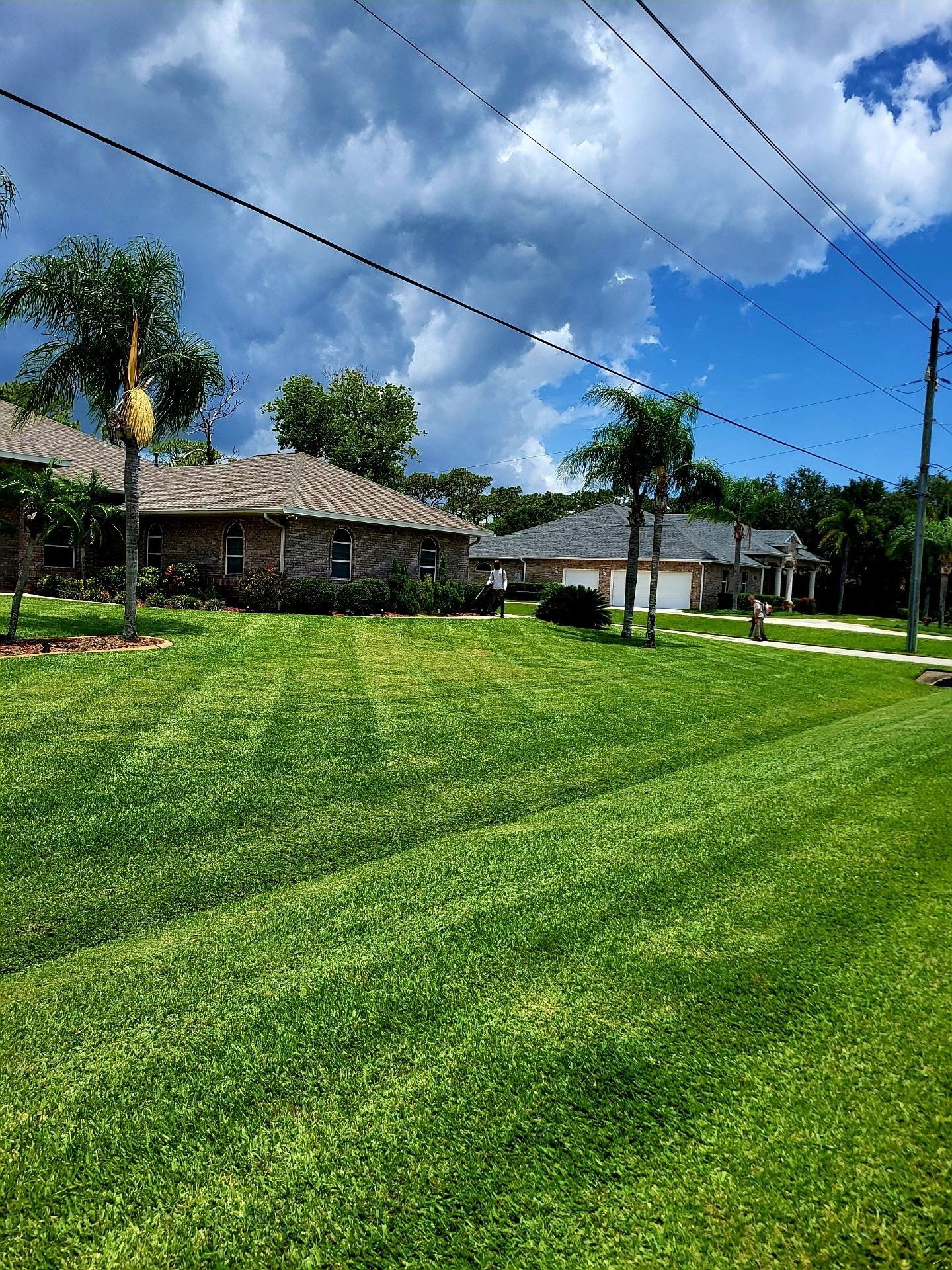 Lush green lawn with homes, palm trees, and power lines under a partly cloudy blue sky.