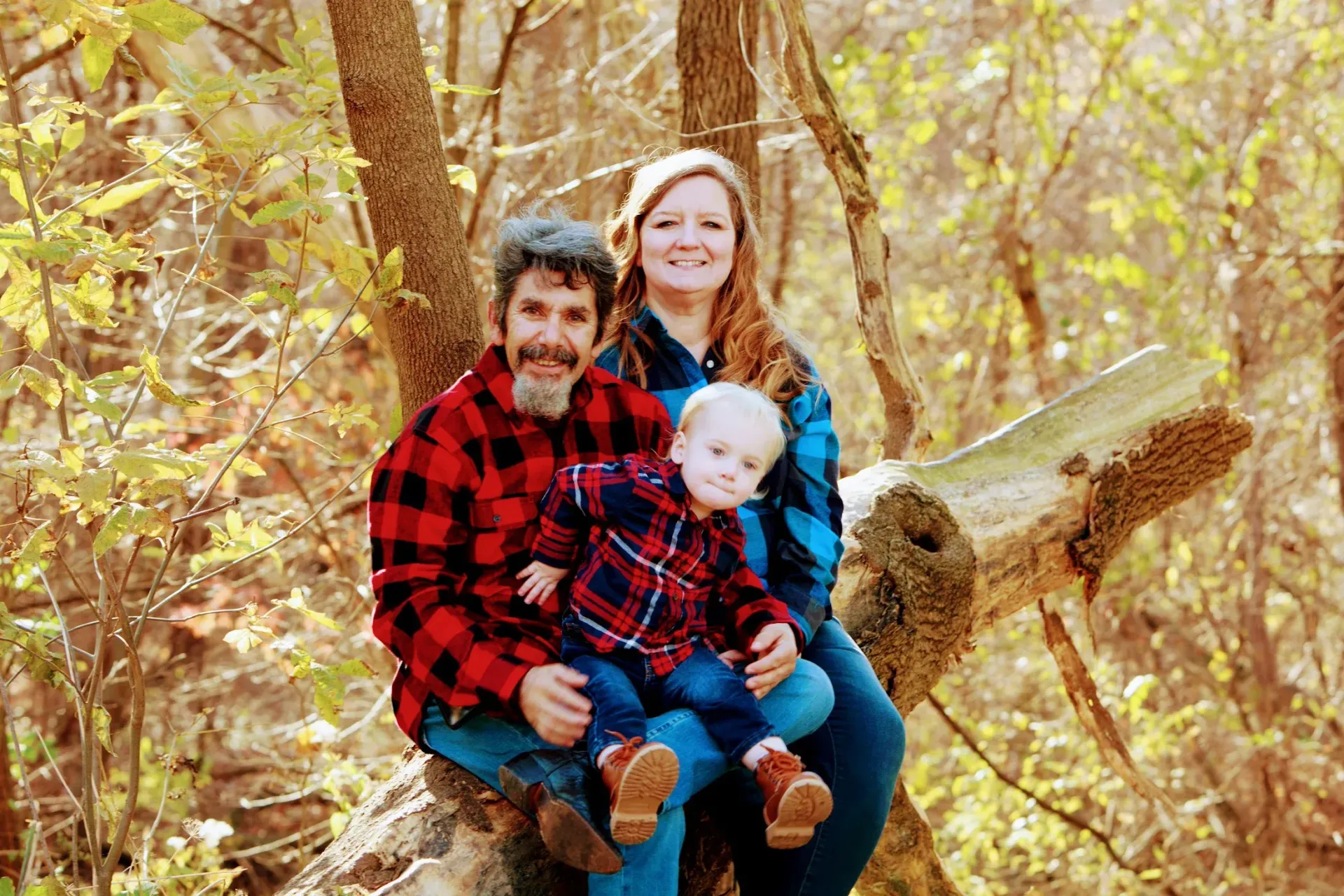 family in tree trunk portrait in Mokena, IL