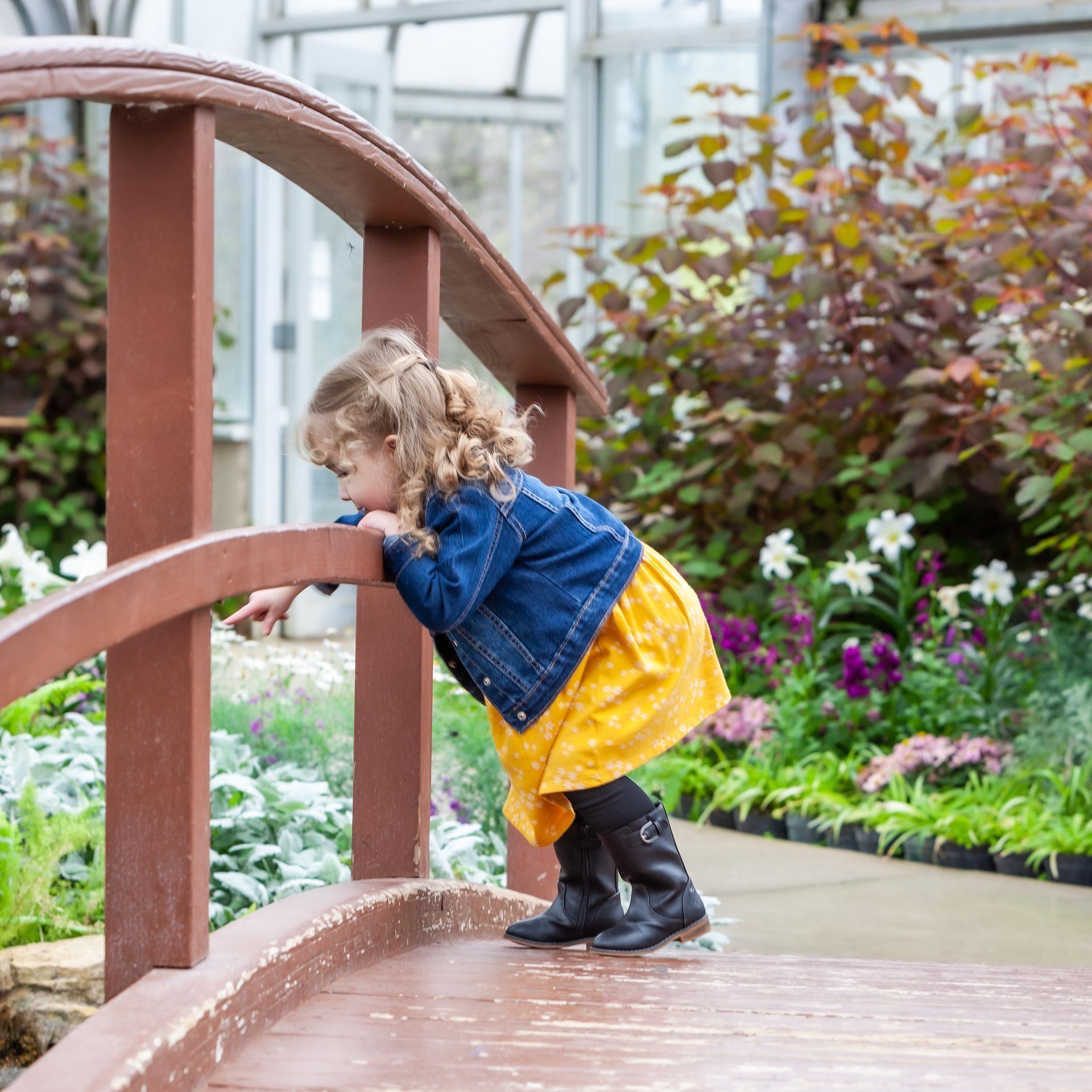 Girl in yellow dress and denim jacket leans over a small wooden bridge, looking at flowers in a garden.