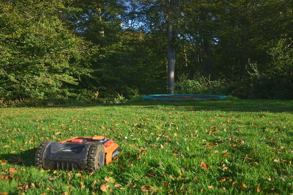 Robotic Lawnmower on a Green Lawn Near a Tree — Taree Lawn and Garden In Hallidays Point, NSW
