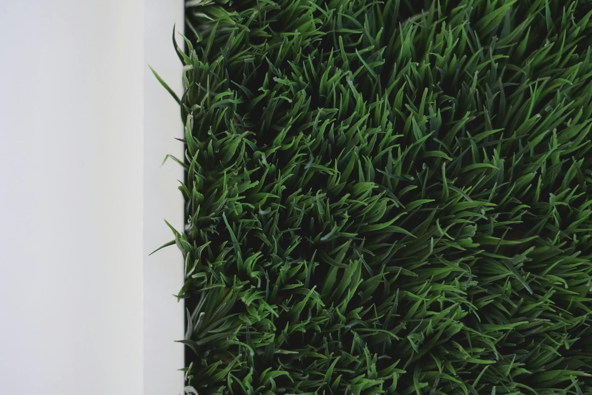 Green Artificial Grass Against — Taree Lawn and Garden In Taree, NSW