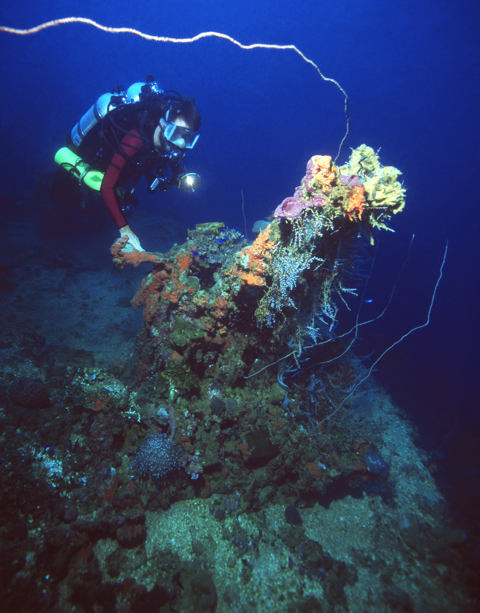 Scuba diver explores a coral-covered shipwreck in blue ocean depths.