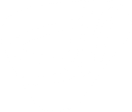 Silipint logo