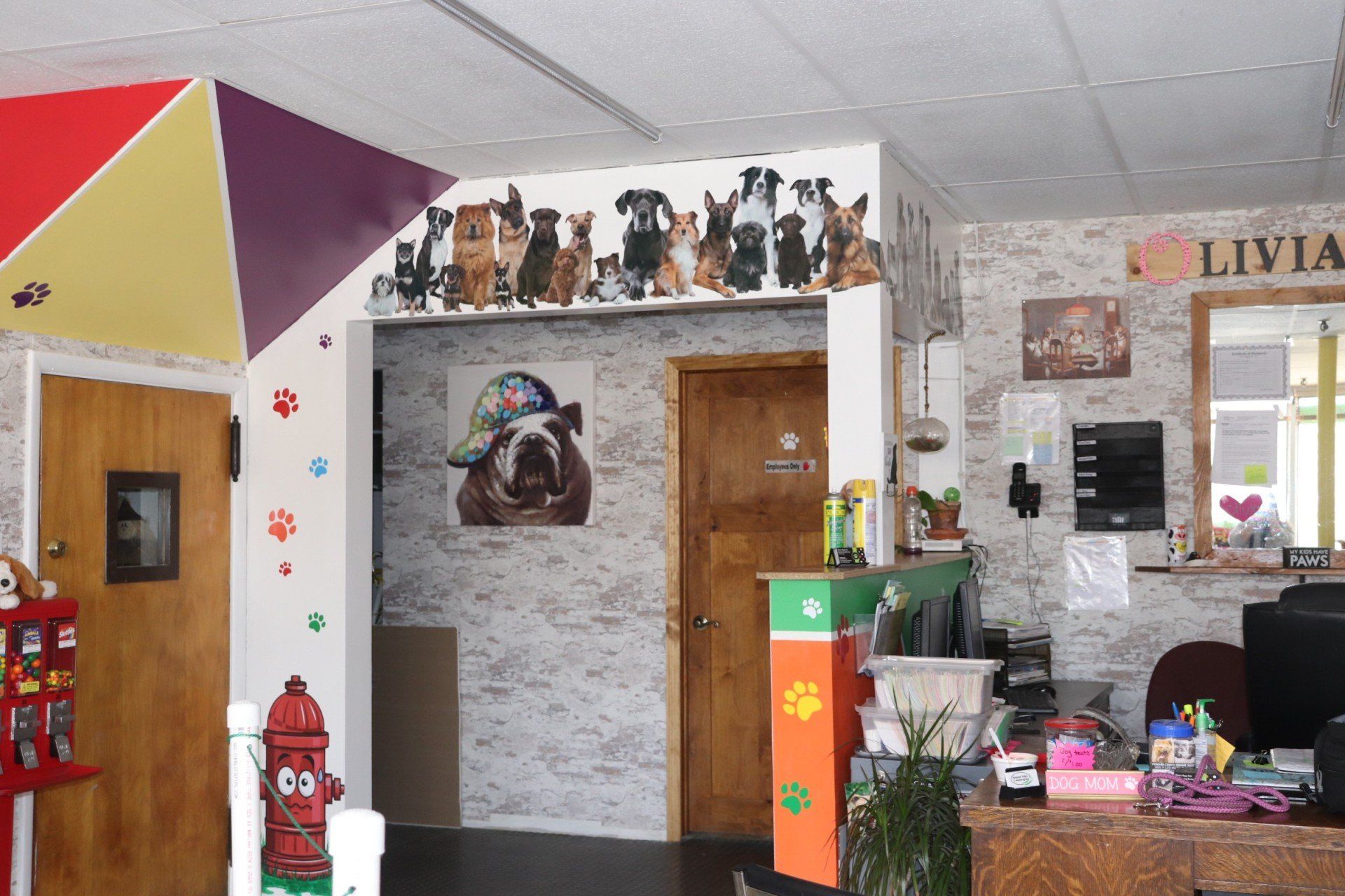 Pet Salon Services Herkimer, NY Olivia's Happy Tails
