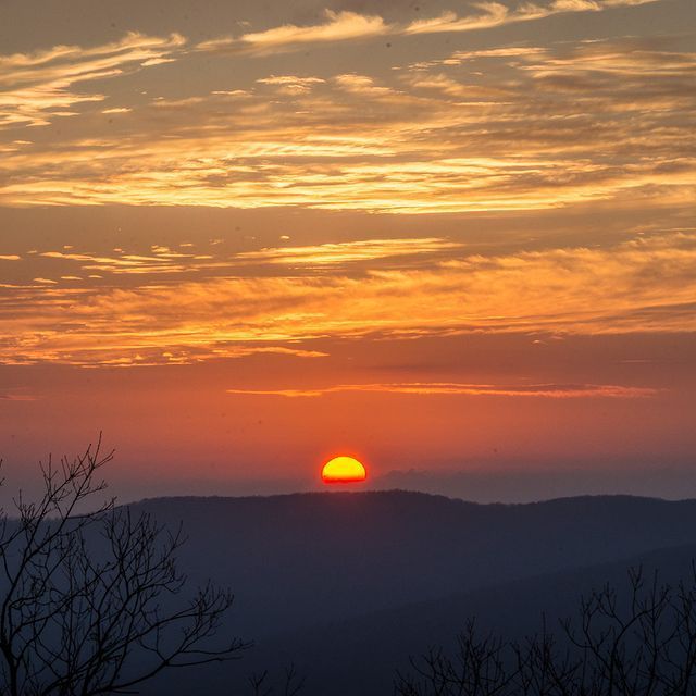 The sun is setting over a mountain range with trees in the foreground