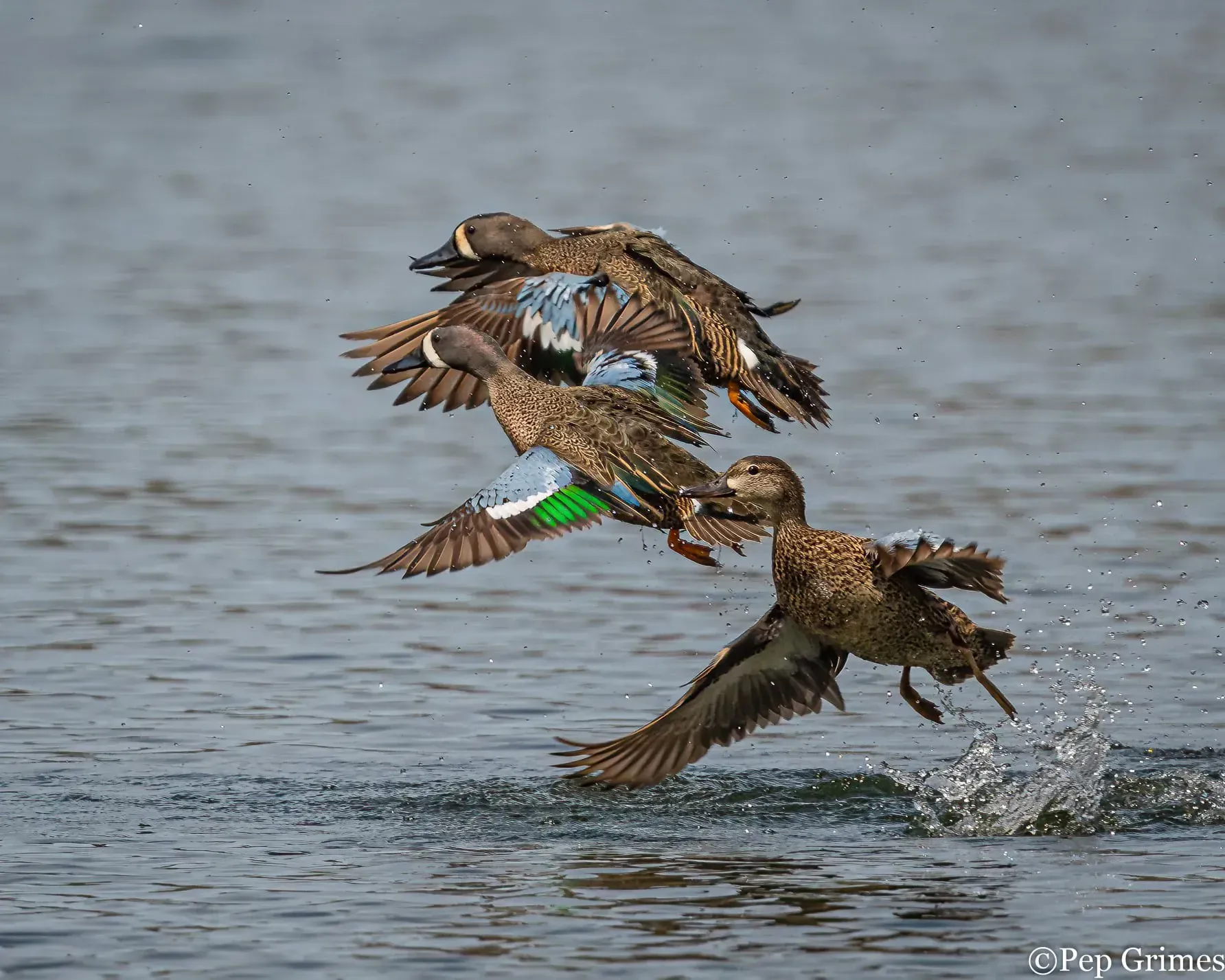 Two ducks are flying over a body of water.