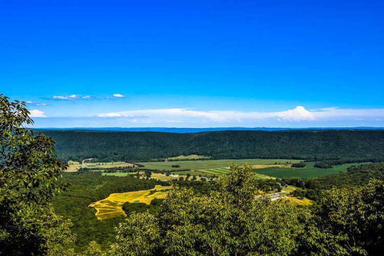 A view of a valley surrounded by trees and fields on a sunny day.