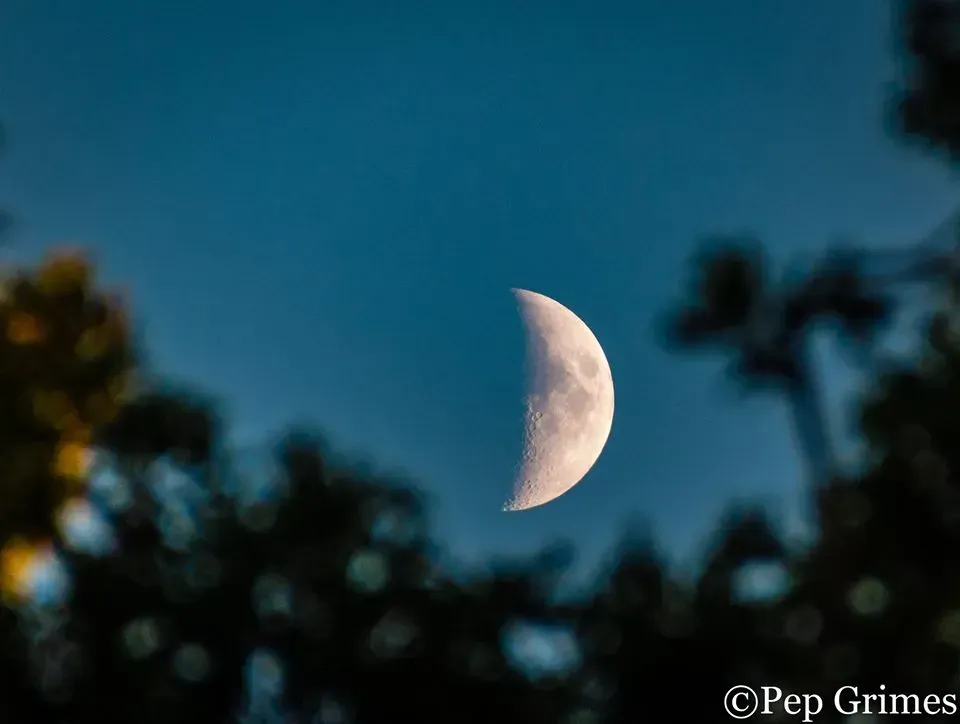 A crescent moon is visible in the night sky