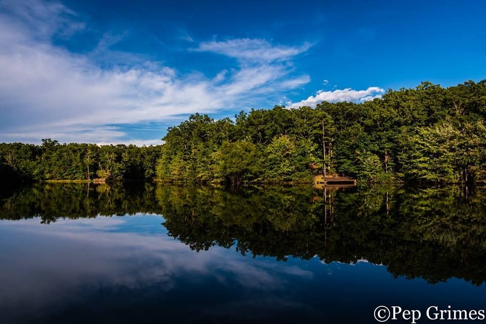 A lake surrounded by trees on a sunny day with a blue sky and clouds reflected in the water.