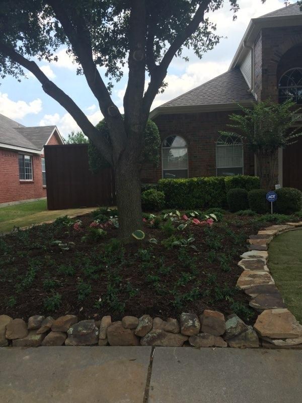 Front yard landscaping with a tree, rock border, and flowers in front of a brick house.
