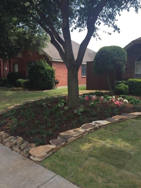 Front yard flower bed with a tree, flowers, and stone edging, next to a house and sidewalk.