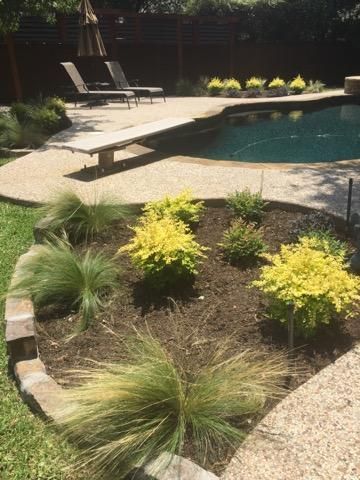 Landscaped backyard with pool, grass, and colorful shrubs.