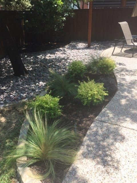 Landscaped backyard with rocks, plants, and a patio. Sunny setting, featuring a tree and lounge chair.
