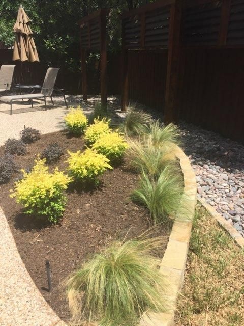 Landscaped garden bed with yellow and green plants, brown mulch, and a rock border.