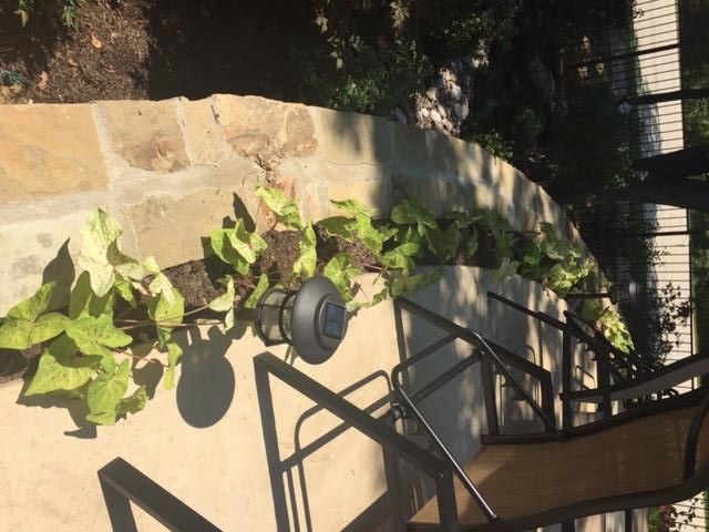 Stone patio with a curved retaining wall, plants, and chairs.