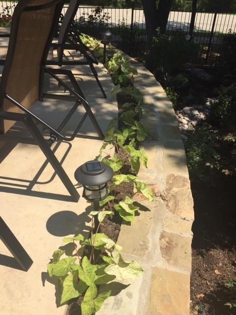 Outdoor patio with stone wall and climbing plants, solar light, chairs, and green vegetation.
