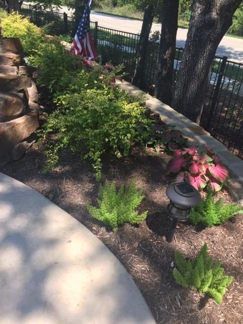 Garden bed with green plants, pink flowers, and American flag.