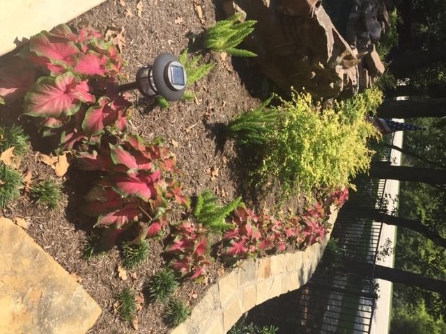 Flower bed with red and green plants, stone border, and a solar light.