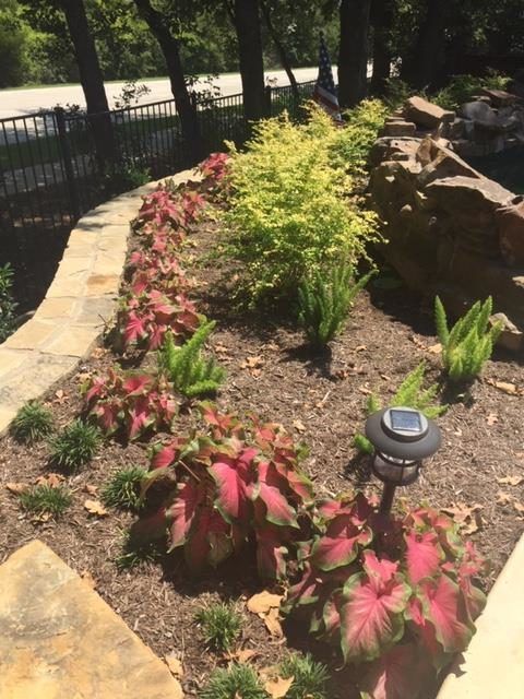 Flower bed with red and green plants, a small yellow bush, and a stone walkway.