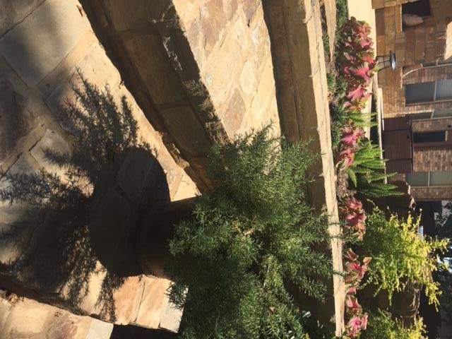 Stone steps with plants and shadows.