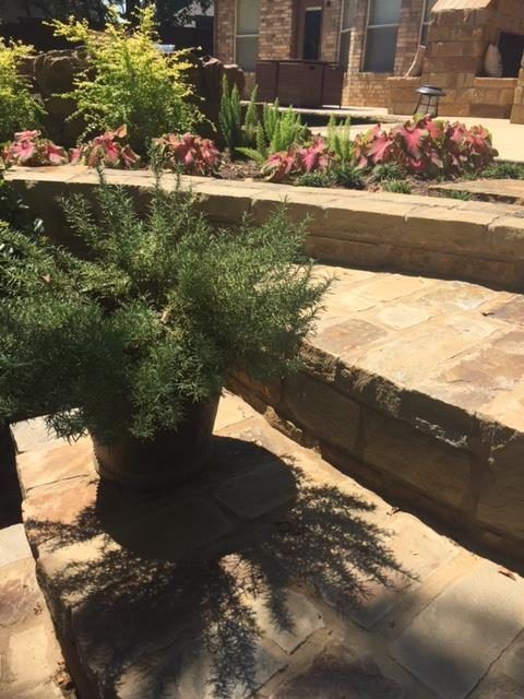 Stone steps lead to a garden with potted rosemary casting a shadow. Pink and green plants line the walls.