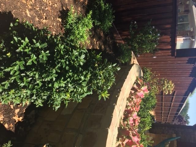 Green bushes and pink flowers grow in a garden bed next to a wooden fence and a brick wall.