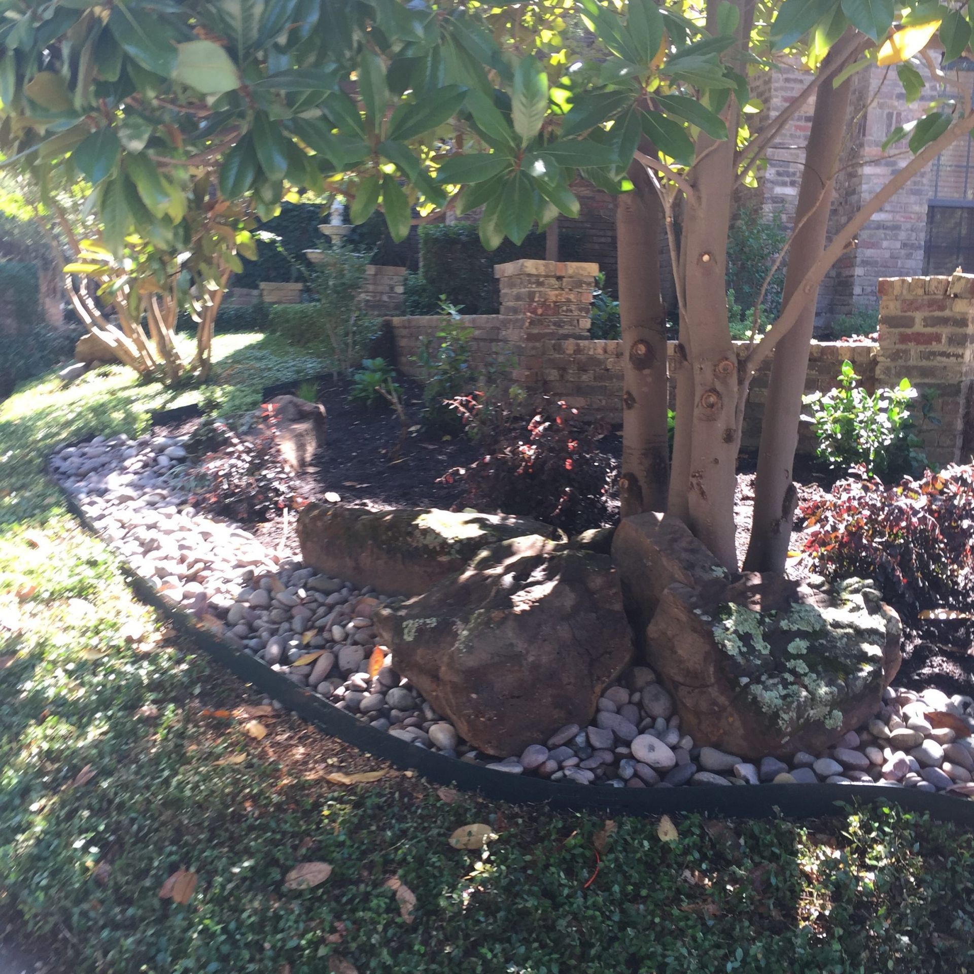 A landscaped garden bed with large rocks, a tree, dark mulch, and green ground cover.