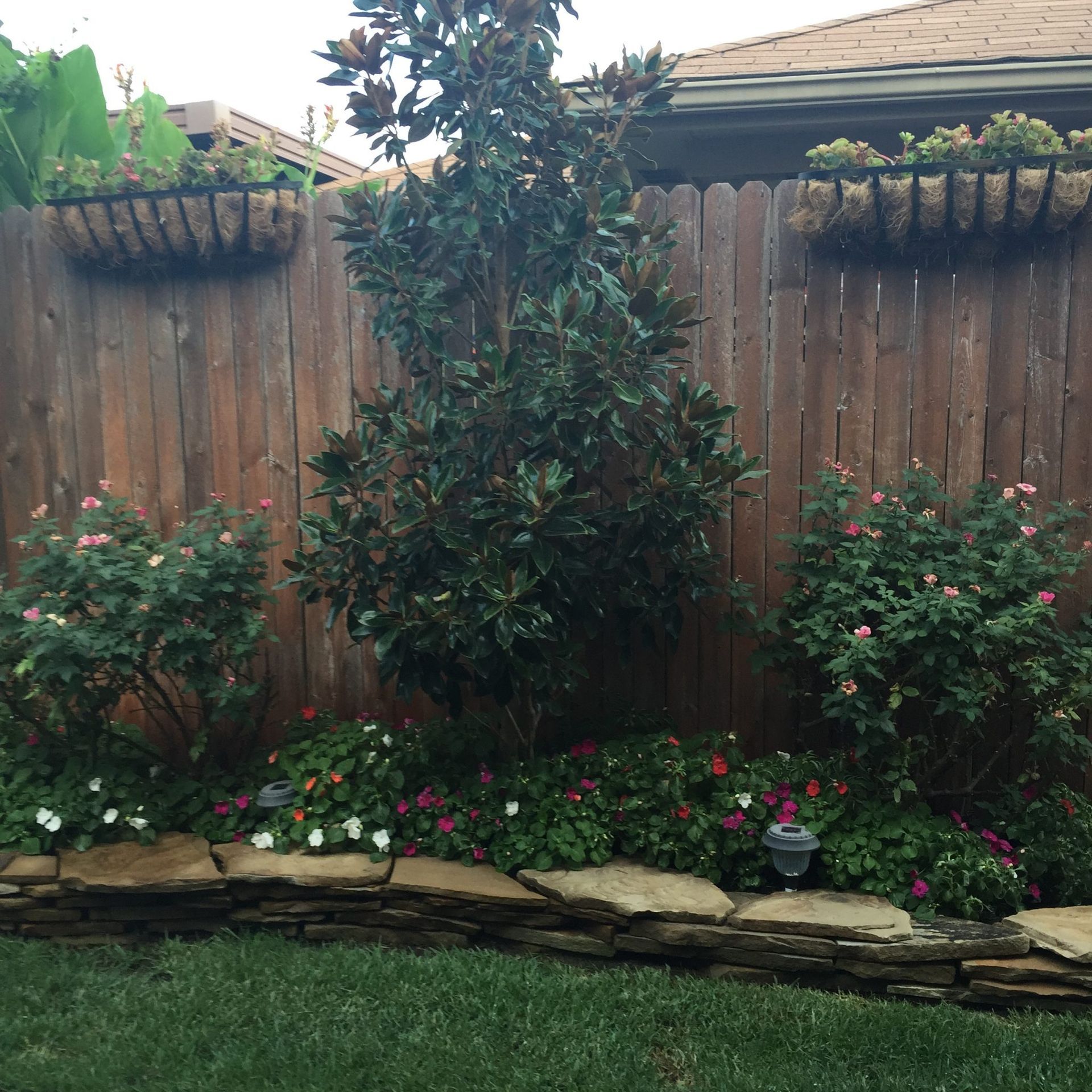 Backyard garden with a wooden fence, flowers, and hanging baskets.