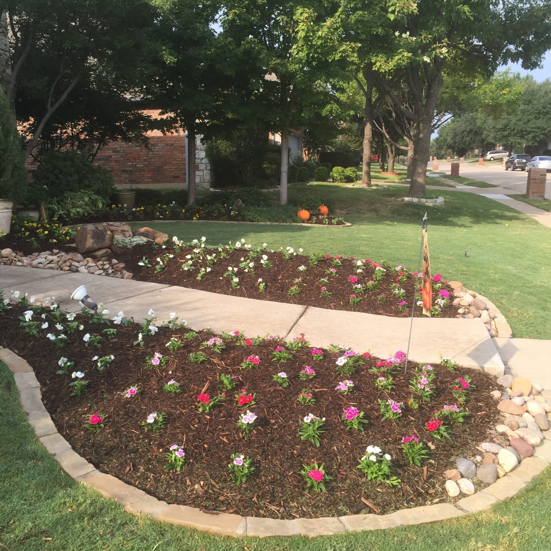 Flowerbeds with pink and white flowers flank a concrete path in a front yard.
