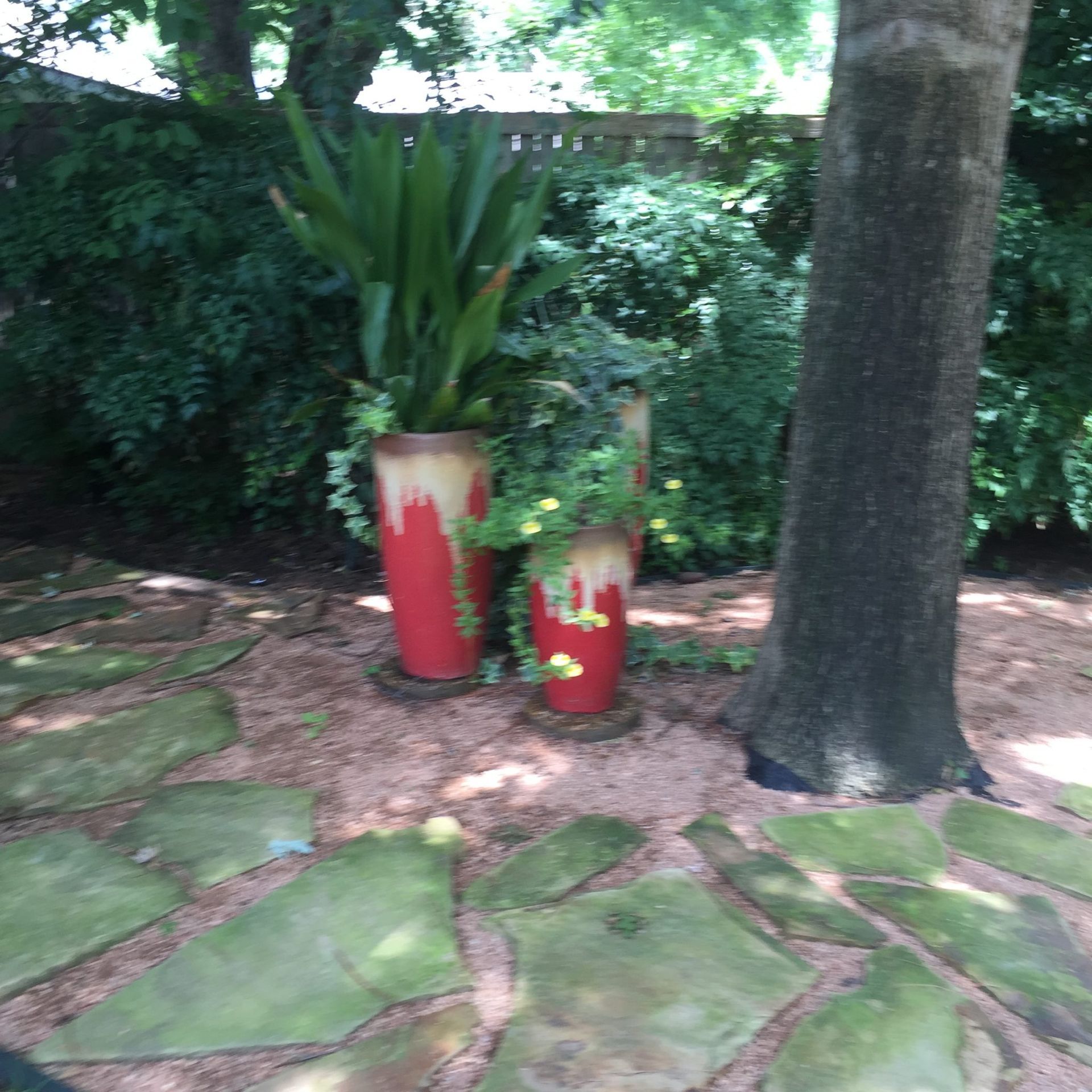 Red planters with greenery beside a tree on a stone path, surrounded by lush green foliage.
