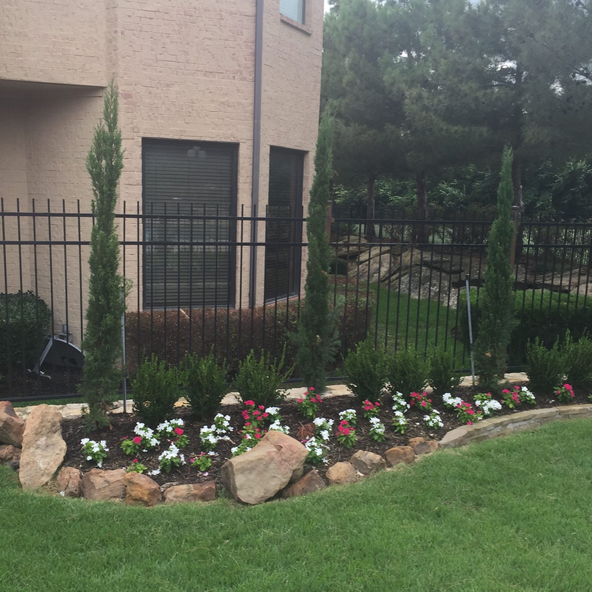 Landscaped flower bed with red and white flowers, tall green trees, and a black fence.