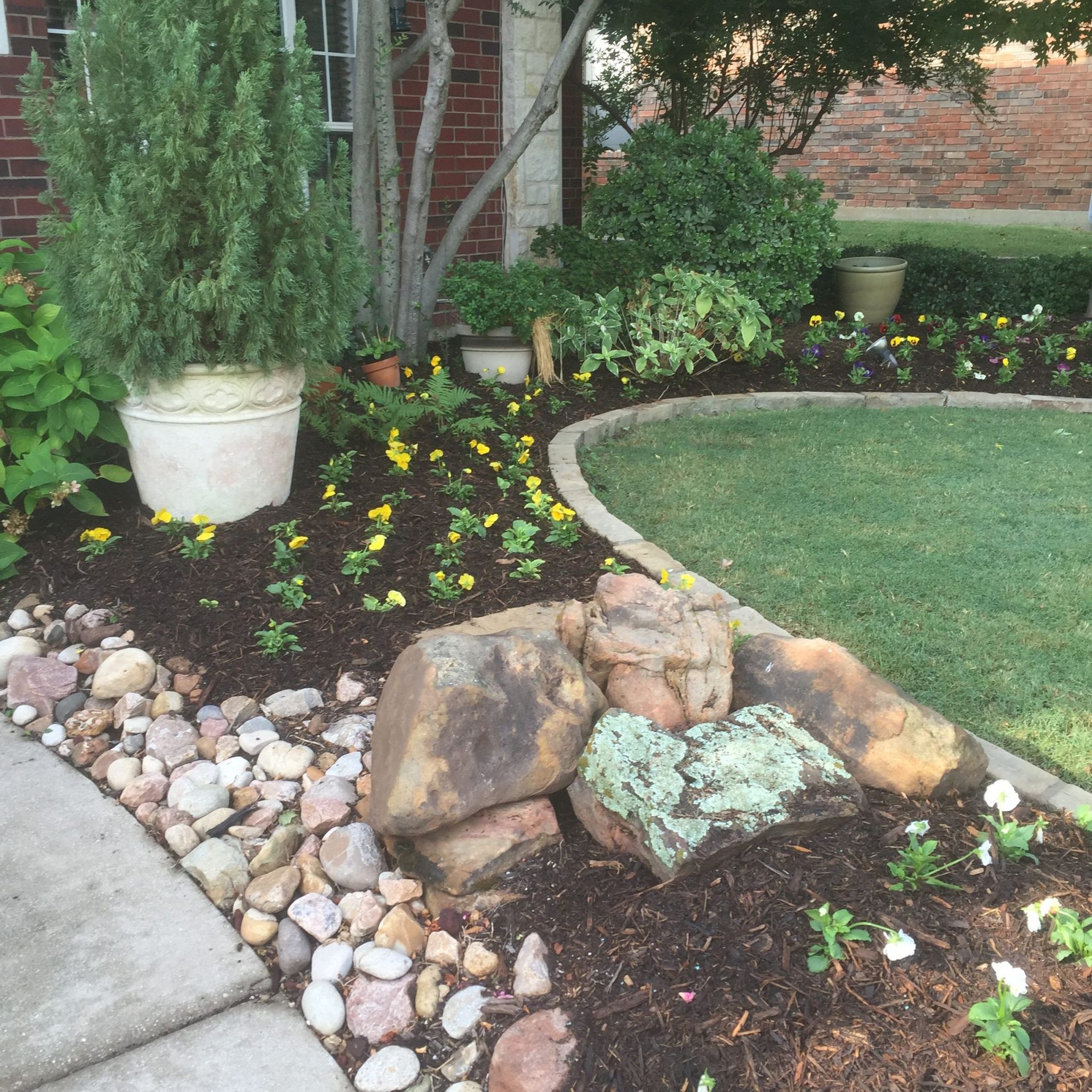 Front yard landscaping with rocks, mulch, and flowers bordering green grass and a sidewalk.