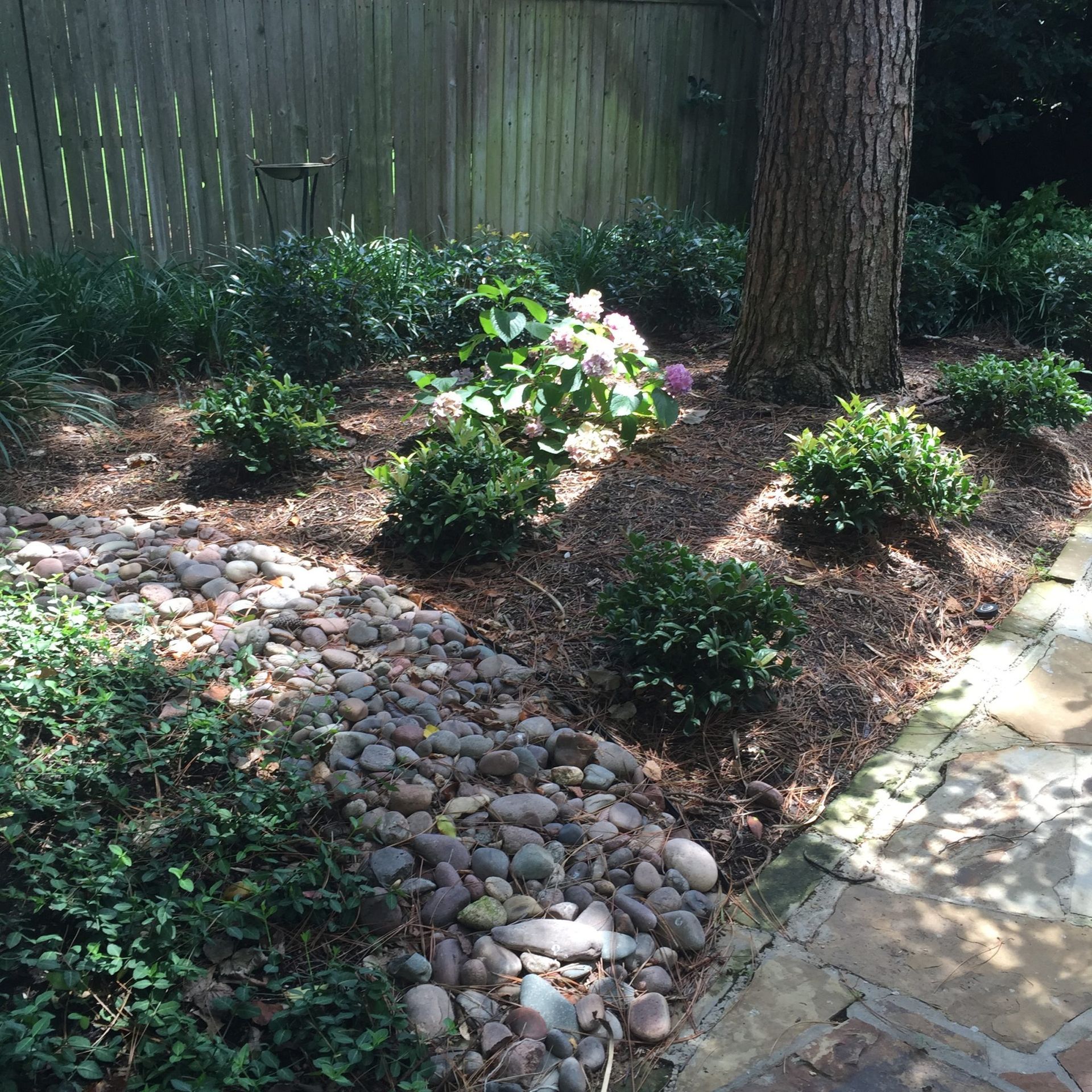 Garden bed with rocks, mulch, green shrubs, and a tree near a stone patio.