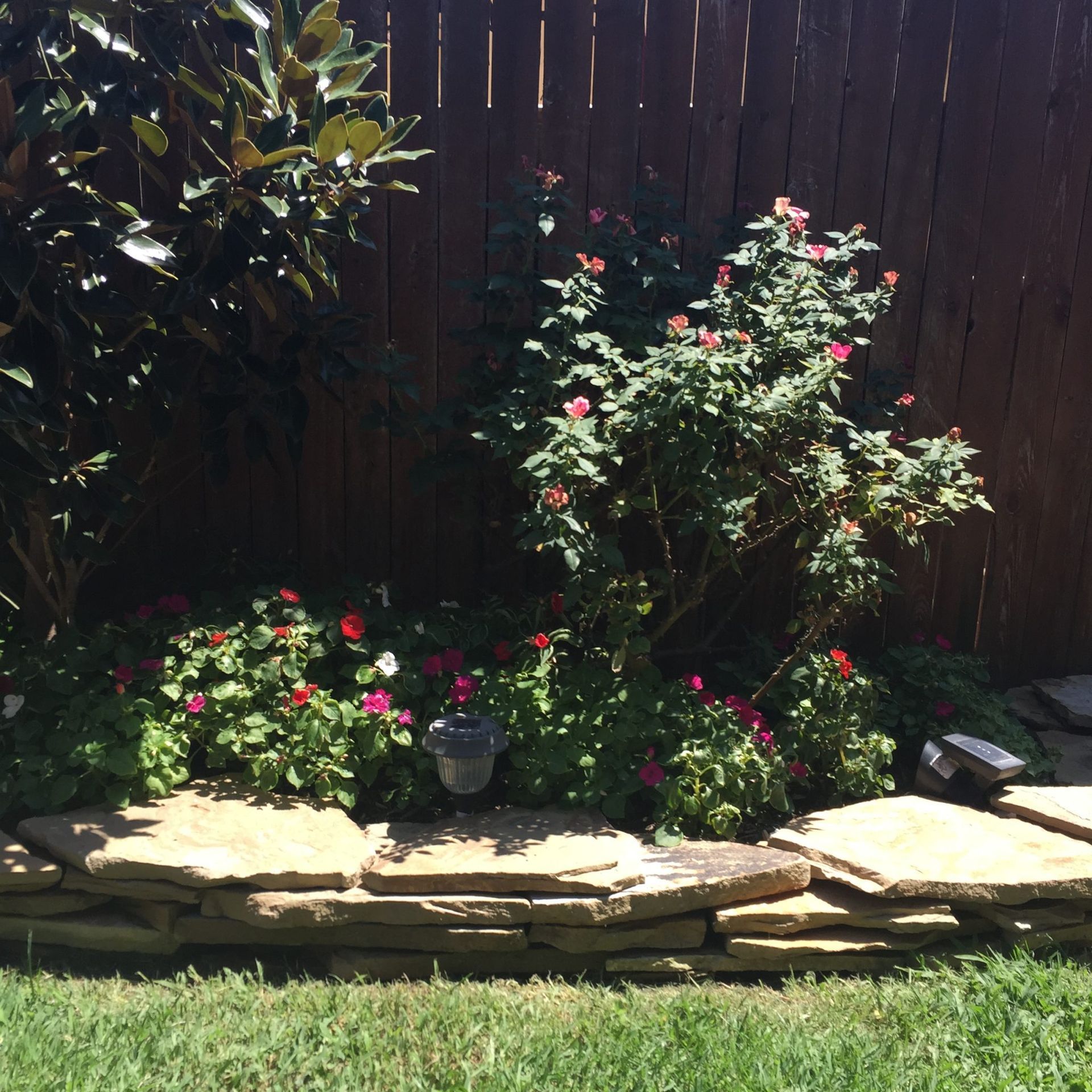 Garden bed with blooming pink flowers and stone border against wooden fence.